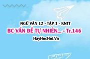 Viết báo cáo nghiên cứu về một vấn đề tự nhiên, xã hội trang 146 Ngữ văn lớp 12 tập 1 Kết nối tri thức